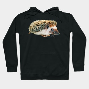 Hedgehog - Woodland Themed Kids Room, Funny Gifts For Forester, Cute Anima Hoodie